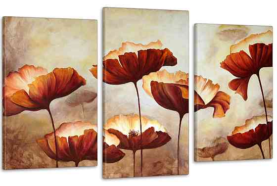 Модульная картина в гостиную / спальню Маки   Art-632_3 70x130 см Киев