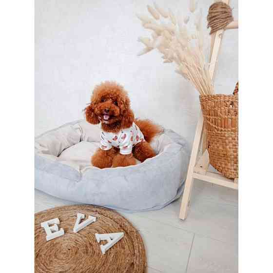 XL (100см) Київ