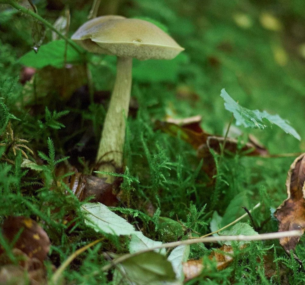 Фотоаппарат: Olympus PEN E-P3. Харьков - изображение 8