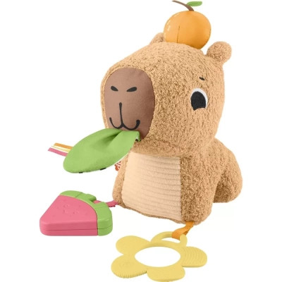 Развивающая игрушка Fisher-Price Капибара (HYR54) Винница - изображение 9
