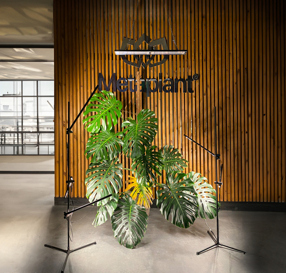 Підлоговий світильник для кімнатних рослин і декору IO-3 Бориспіль - фото 9