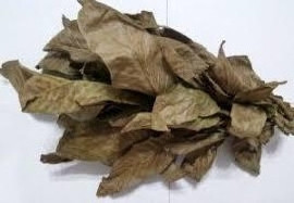 Листя волоського горіха (Лист грецкого ореха) 100г master sem Київ - фото 1