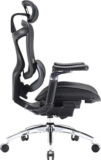 Крісло офісне Sihoo Doro C300 Pro Mesh Black (DORO-C300-PRO-M101) ( 17925 ) Харків - фото 5