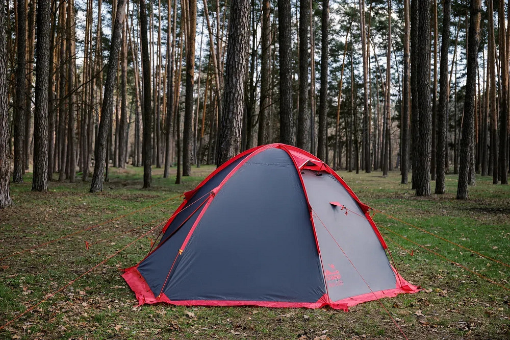 Палатка Tramp ROCK 2 (V2) серая Киев - изображение 5