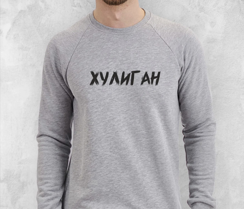 Мужской серый свитшот\ реглан 