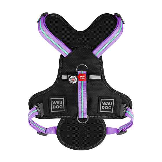 Шлея для собак безпечна WAUDOG Nylon з QR паспортом, металева пряжка-фастекс, S, Ш 20 мм, А 35-60 см, В 55-65 см фіолетовий Київ