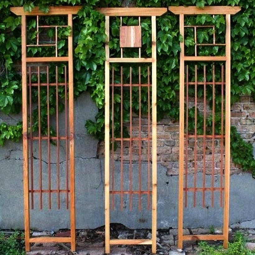 Пергола-шпалера 