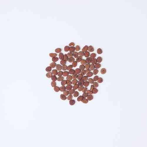 Корм сухий Carnilove True Fresh Cat Fresh Chicken для дорослих котів з куркою 4,8 кг Київ