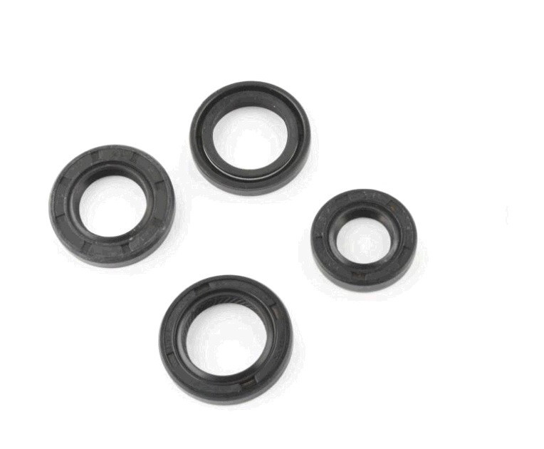 Сальники (набір) мопед Дельта, мотоцикл Альфа, мопед Актив (4шт) 11.6x24x10, /13.7x24x5, /17x29x5, / 18.9x30x5 Мукачево - фото 1