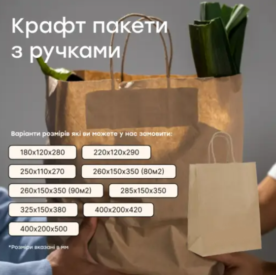 Пакет крафтовый с прямоугольным дном, бурый, 310х200х350 мм, 80 г/м², с ручками (50 шт.) Павлоград