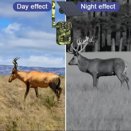 Камера для охоты на солнечной батарее A8S 4G, датчик движения, камуфляж Коломия