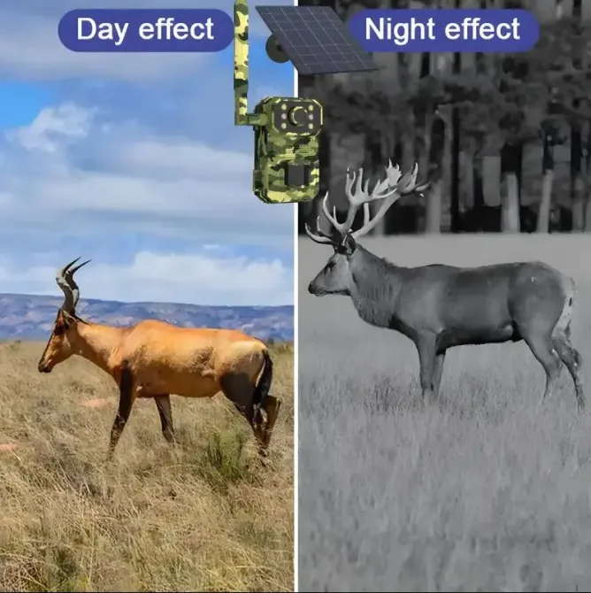 Камера для охоты на солнечной батарее A8S 4G, датчик движения, камуфляж Коломия - фото 4