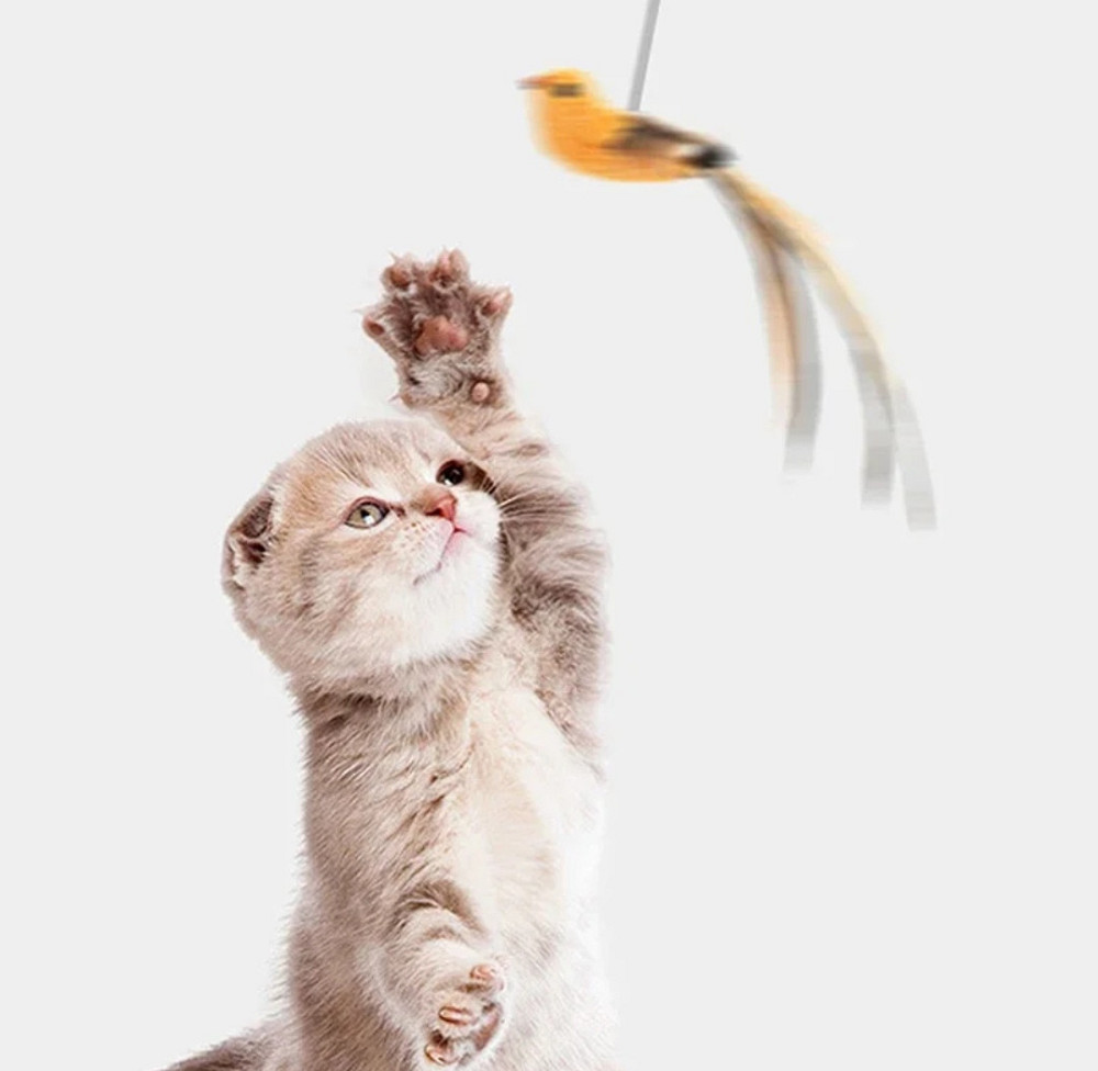 Игрушка для котика на палочке птичка с колокольчиком на присоске 93 см коричневый Киев - изображение 8