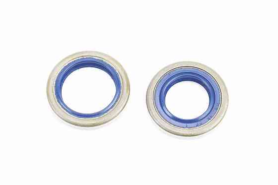 Сальники к-кт 2шт (15x26x4; 18,4x26,4x3,6) 362/365/372 Київ