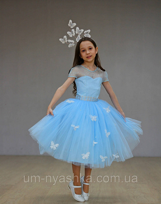 Обруч с бабочками Кривой Рог - изображение 6