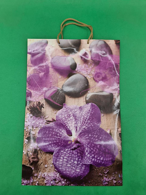 Гіганти вертикальні (30х42х12) (артGV-009) (12 шт.) Харків - фото 3