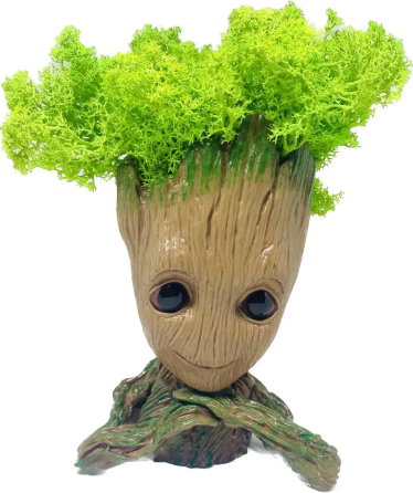 Кашпо горщик зі стабілізованим мохом Грут Groot G3 Вінниця