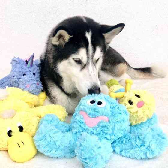 Іграшка для собак Patchwork Pet Octopus (Печворк Пет Восьминіг) Запоріжжя