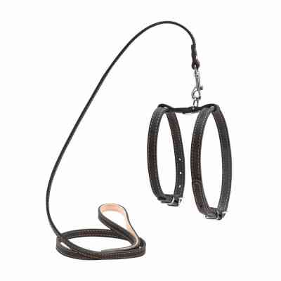 Шлея для собак Collar з повідцем для малих порід Ш 14 мм Д 122 см чорна (05471) Вінниця