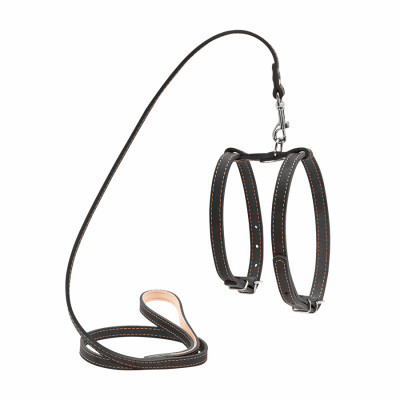 Шлея для собак Collar з повідцем для малих порід Ш 14 мм Д 122 см чорна (05471) Вінниця - фото 1