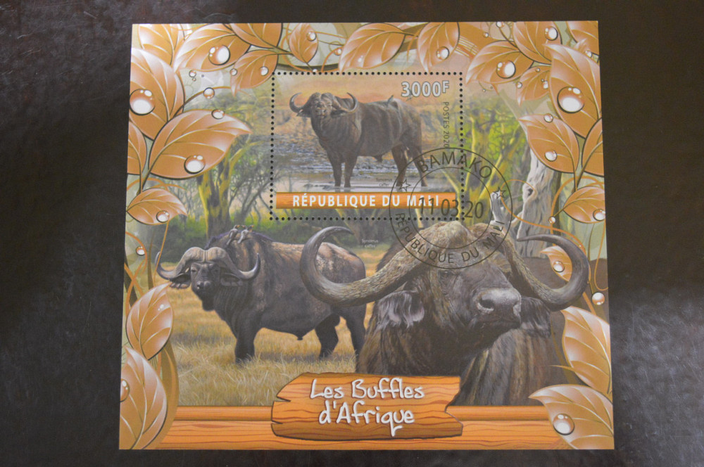 Малі. Марки. Фауна. Блок. 2020 рік (В-4) Полтава - фото 1