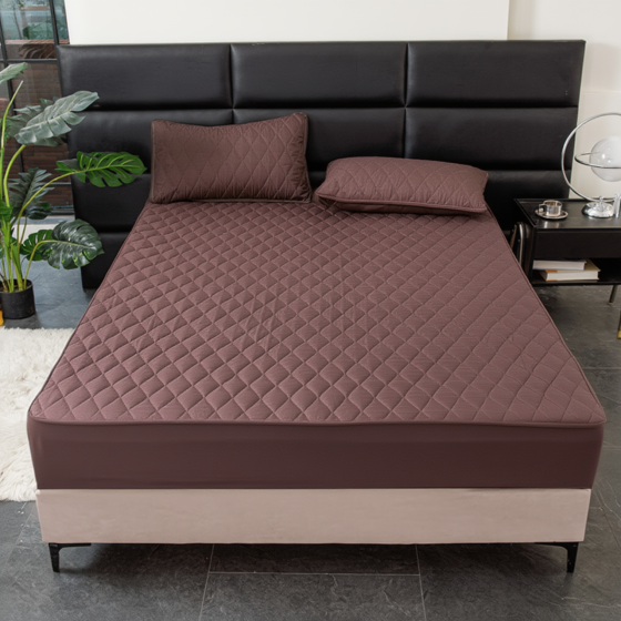 Набор 3в1 простыня двуспальная 180х200 см наматрасник и наволочки для подушек 2 шт 48х74 см водонепроницаемый для кровати Каменец-Подольский