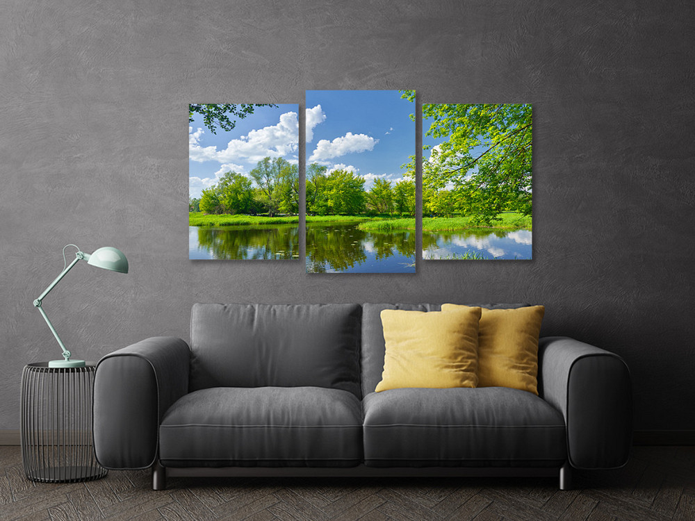 Модульная картина в гостиную / спальню  Природа  Art-661_3 Киев - изображение 3