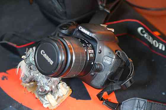 Професійний фотоапарат Canon EOS 600D Дзеркалка.Комплект. Б\У Харків