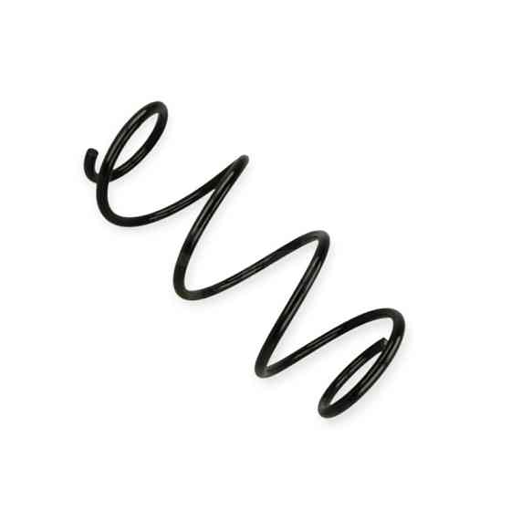 Пружина Renault Clio III 1.4-1.6i, Modus 04- передняя Мукачево