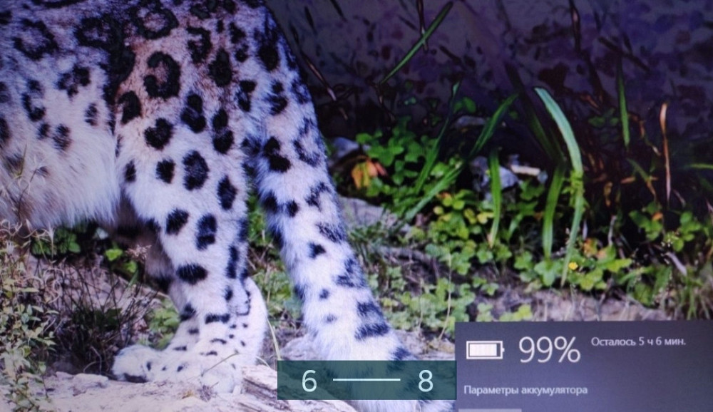 Ноутбук ASUS Vivobook R541N Харків - фото 3