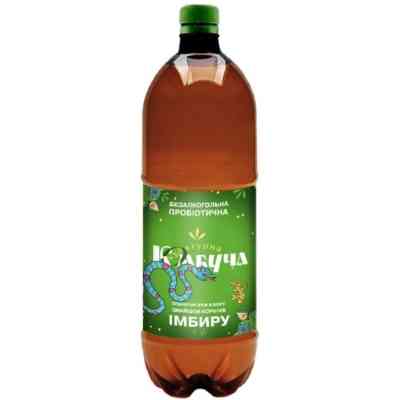 Напиток Культурна Комбуча Имбирь 500 мл (4820267900259) Винница