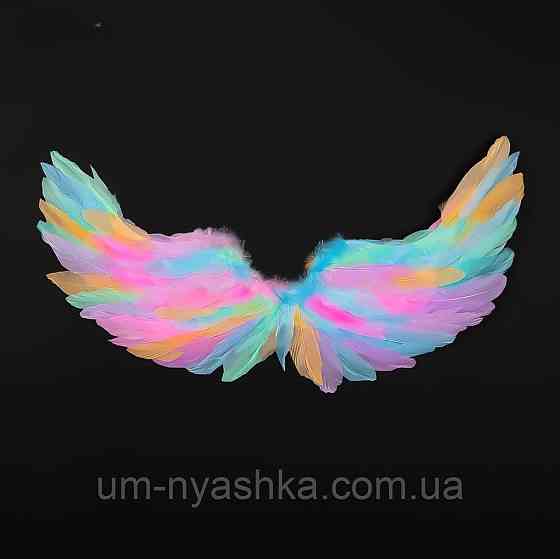 Крылья разноцветные с перьями Пегас Кривой Рог
