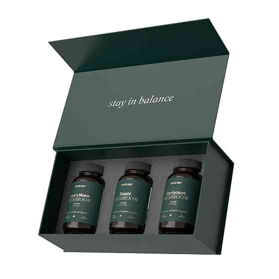 Греби рейши, эжовик гребенчатый, кордицепс MIND SHI Mushroom Premium Box Киев