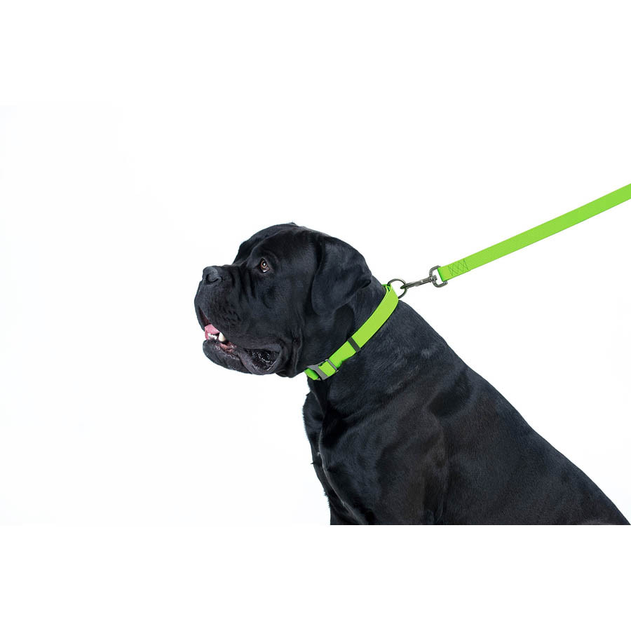 Повідець для собак водостійкий WAUDOG Waterproof, M, Ш 20 мм, Дов 122 см салатовий Коломия - фото 2
