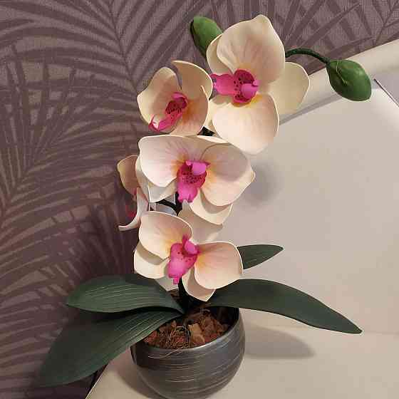 Світильник-нічник "Орхідея Натхнення" Дніпро