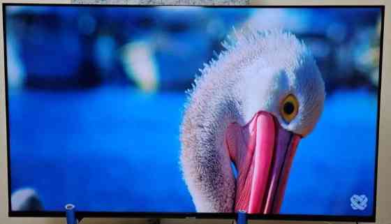 Телевизор: 65