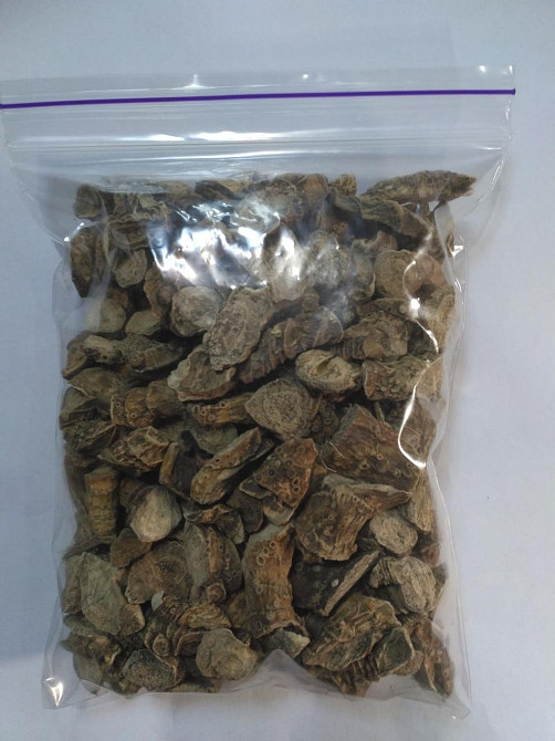 Корінь аїра болотяного (Корень аира болотного)100г master sem Киев - изображение 1