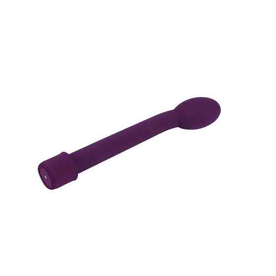Вибратор Chisa HI-BASIC для точки G, фиолетовый Sex Aura Киев