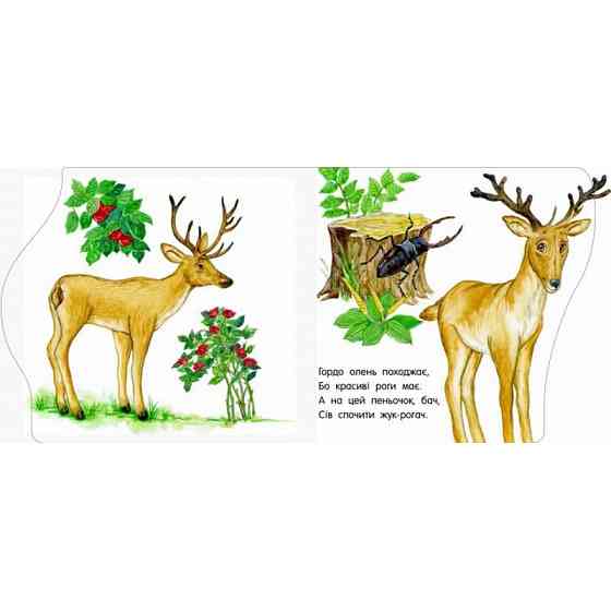 Дитяча книжечка "Перші кроки : У зоопарку" 410012 українською мовою Вінниця