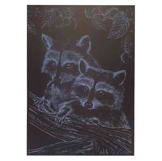 Гравюра А4 "Єнот" ГрА4-16с економ варіант в пакеті 29,7х21 см Вінниця