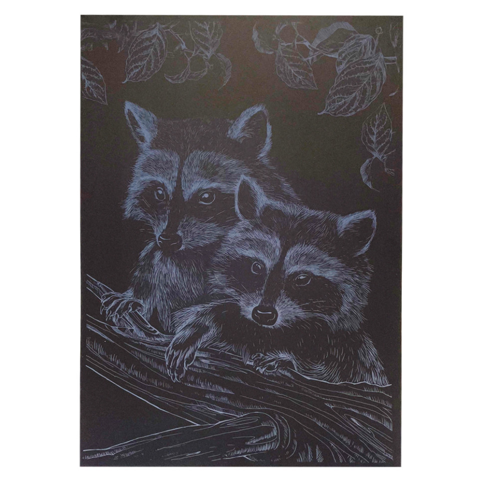 Гравюра А4 "Єнот" ГрА4-16с економ варіант в пакеті 29,7х21 см Вінниця - фото 1