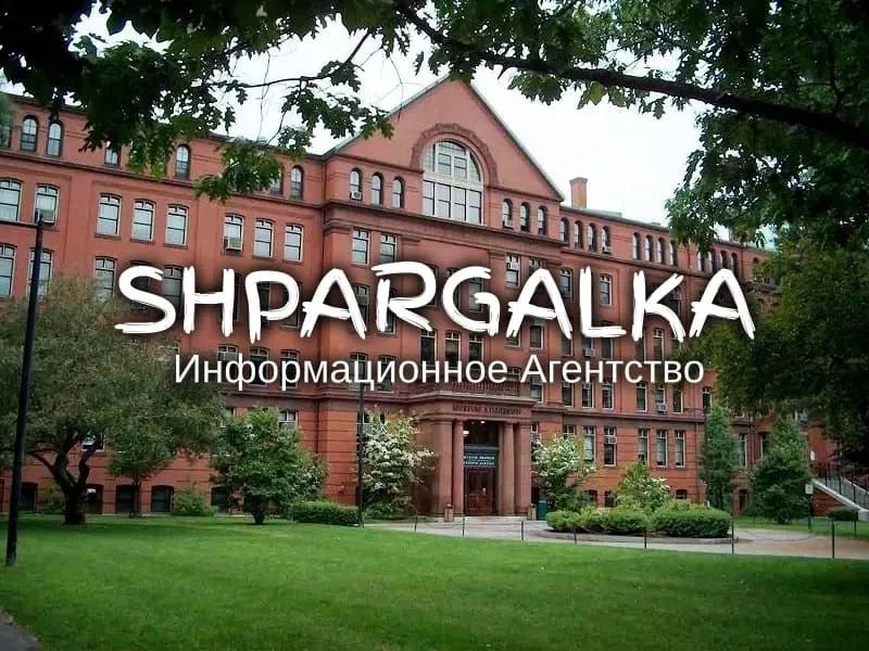 Магістерська робота з програмування на замовлення в Україні Дніпро - фото 1