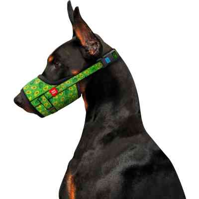 Намордник для собак WAUDOG Nylon Авокадо №2 (5367) Вінниця