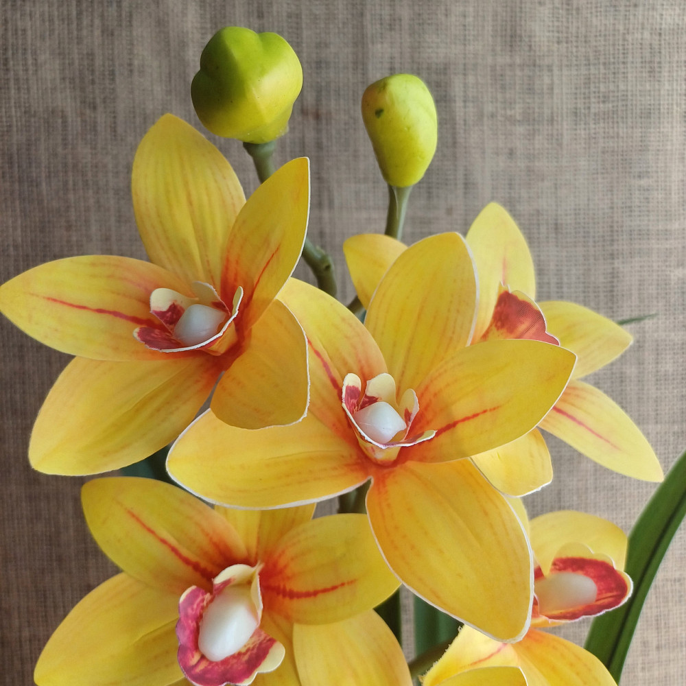 Штучна латексна орхідея цимбідіум у рожевому керамічному кашпо біла з рожевим Дніпро - фото 3