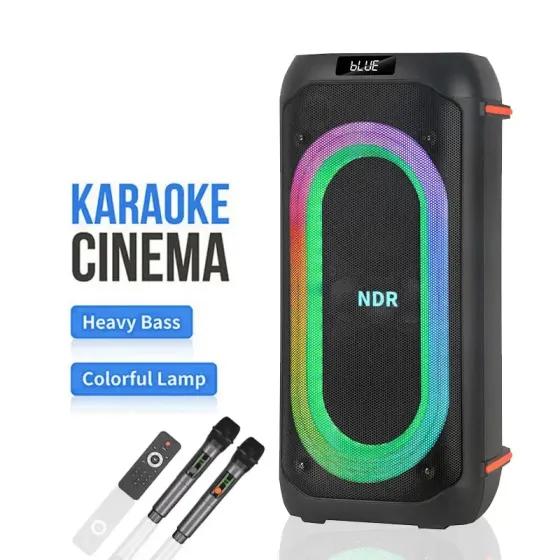 Портативна акустична колонка NDR-717 2x8" TWS/FM/USB/TF/BT/LED/REC з пультом та 2 мікрофонами Одеса