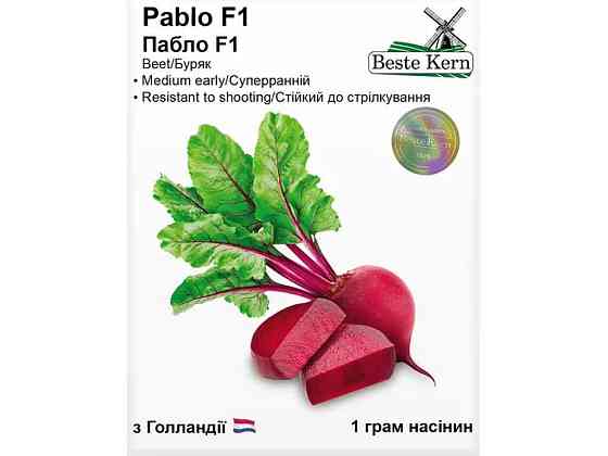 Буряк Пабло F1 3г /(5 пачок в упаковці) ТМ Beste Kern   Solmir Київ