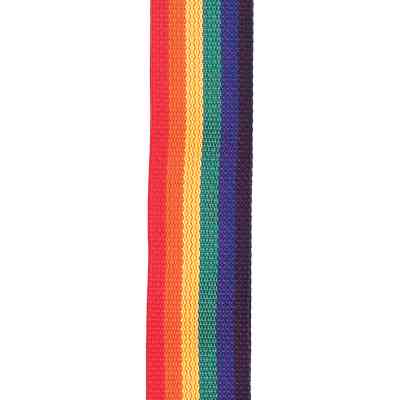 Ремень для гитары D'Addario PolyPro Guitar Strap Rainbow (PWS111) Винница