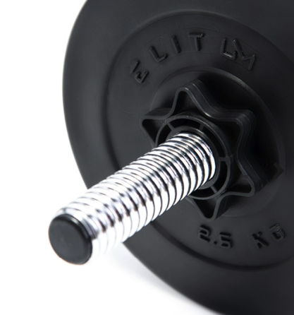 Гантелі Elitum 2 х 31кг Київ