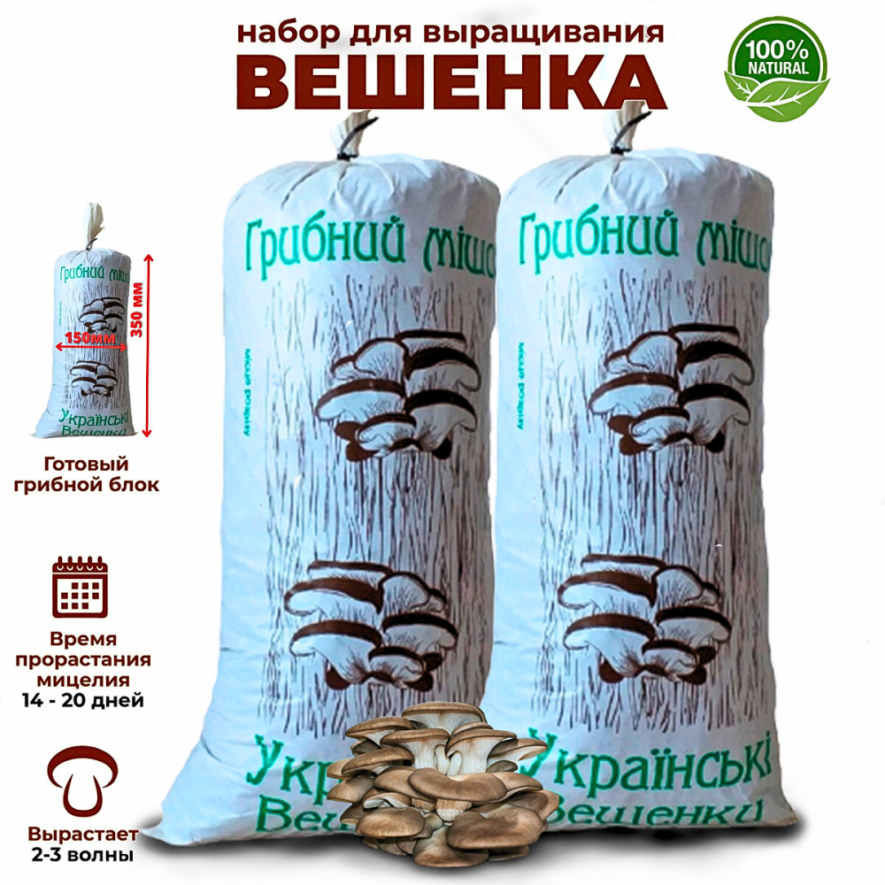 Подарунковий набір для вирощування "Українські Гливи" ( 3 мішечки ) Харків - фото 2