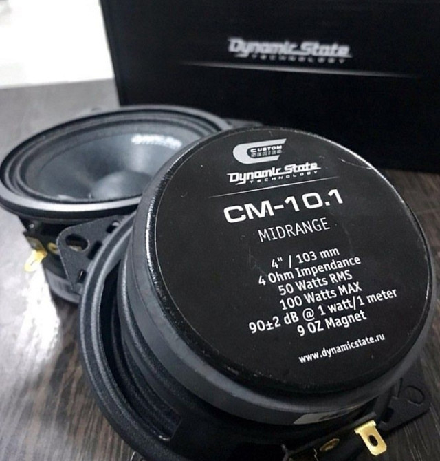 Эстрадная акустика Dynamic State СМ-10.1 Харьков - изображение 5